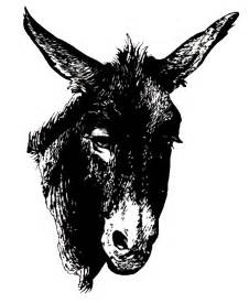 Donkeys & Mules - Minnesota Hooved Animal Rescue Foundation