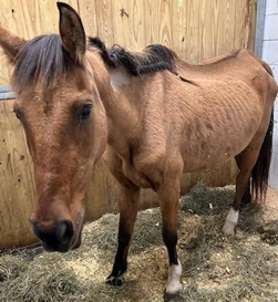 Winona website late oct 2025